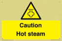 caution-hot-steam~